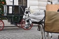 Fiaker Horses, Vienna Royalty Free Stock Photo