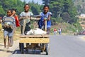 Unknown boys carries a traditional caresa carriage