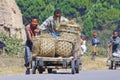 Unknown boys carries a traditional caresa carriage