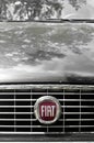 Fiat auto metal symbol