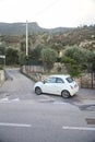 Fiat 500 on a country road next to an olive tree grove