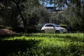 Fiat 500 on a lawn in an olive tree grove