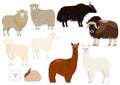 Fiber animals set Royalty Free Stock Photo