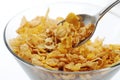 Fiber cereal Royalty Free Stock Photo