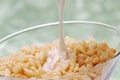 Fiber cereal Royalty Free Stock Photo