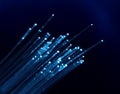 Fiber Optic Cable on Blue Royalty Free Stock Photo