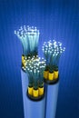 Fiber optic cable Royalty Free Stock Photo