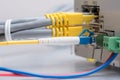Fiber optic cable and network ethernet patch cord connect to the switch Royalty Free Stock Photo