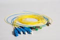 Fiber optic cable pigtails Royalty Free Stock Photo