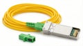 Fiber Optic Cable and SFP Module for High-Speed Data Transmission Royalty Free Stock Photo