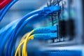 Fiber Optic cables connected to an optic ports and Network cable Royalty Free Stock Photo