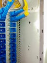 Fiber Optic Cables Connected to Patch Panel Royalty Free Stock Photo