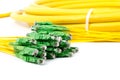 Fiber optic E2 (LSH) pigtail, patchcord Royalty Free Stock Photo