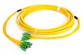 Fiber optic E2 (LSH) pigtail, patchcord Royalty Free Stock Photo