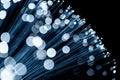 Fiber optic emitting blue light Royalty Free Stock Photo