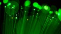 Fiber optic, glare in the focus. Abstract futuristic background Royalty Free Stock Photo