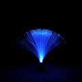 Fiber Optic Lamp