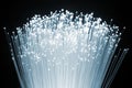 Fiber optic light bundle Royalty Free Stock Photo