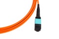 Fiber optic MTP (MPO) pigtail, patchcord connectors Royalty Free Stock Photo