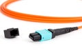 Fiber optic MTP (MPO) pigtail, patchcord connectors Royalty Free Stock Photo