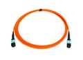 Fiber optic MTP (MPO) pigtail, patchcord connectors