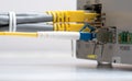 Fiber optic and network ethernet patch cord cable connect to the switch Royalty Free Stock Photo