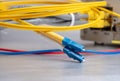 Fiber optic and network ethernet patch cord cable connect to the switch Royalty Free Stock Photo