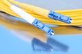 Fiber optic patch cord cable for telecommunication network Royalty Free Stock Photo