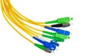 Fiber optic patch cord cables on white Royalty Free Stock Photo