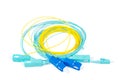 Fiber optic patch cord cables on white Royalty Free Stock Photo