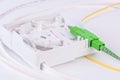 Optic Wall Subscriber Socket Box with Patch Cord Cables Close-up Royalty Free Stock Photo