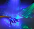 Fiber optical background Royalty Free Stock Photo