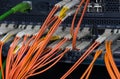 Fiber optical connections with servers Royalty Free Stock Photo