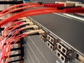 Fiber Optical Network Royalty Free Stock Photo