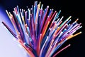 Fiber optical network cable Royalty Free Stock Photo