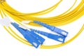 Fiber optical patch cord plugs Royalty Free Stock Photo