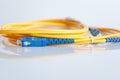 Fiber optical patch cord Royalty Free Stock Photo