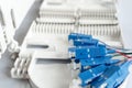 Fiber optical patch cord Royalty Free Stock Photo