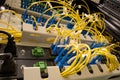 Fiber optical, patch panel Royalty Free Stock Photo