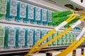 Fiber optical, patch panel Royalty Free Stock Photo