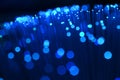 Fiber optics in blue, close up Royalty Free Stock Photo