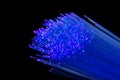 Fiber optics in blue, close up isolated on black background Royalty Free Stock Photo