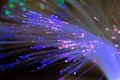 Fiber optics in blue, pink and green with bokeh. Royalty Free Stock Photo