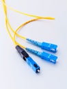 Fiber Optics connectors symbolic photo for fast internet. Royalty Free Stock Photo