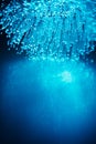 Fiber optics light background Royalty Free Stock Photo