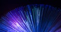 Fiber optics lights Royalty Free Stock Photo