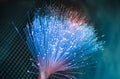 Fiber optics lights Royalty Free Stock Photo