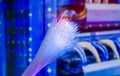 Fiber optics lights abstract Royalty Free Stock Photo