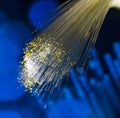 Fiber optics lights background Royalty Free Stock Photo