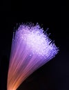 Fiber optics lights background Royalty Free Stock Photo